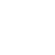 Salam energy Logo White